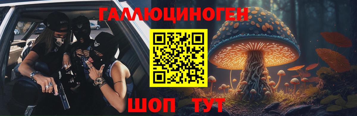 Канаш  Псилоцибиновые грибы Cubensis  Вход с VPN  Псилоцибиновые грибы Psilocybine cubensis 